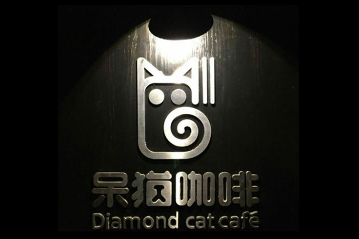 星巴克我不愛你了,因為我遇見了呆貓1