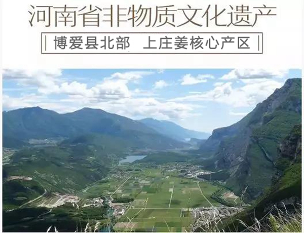 央視報(bào)道推薦的懷姜糖膏牌子_上莊姜糖膏的品牌故事 央視報(bào)道推薦的懷姜糖膏牌子_上莊姜糖膏的品牌故事