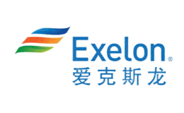 美國愛克斯龍電力公司