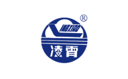 廣東凌霄泵業股份有限公司