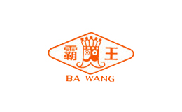 浙江霸王衡器有限公司