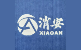 合肥消安電子有限責任公司