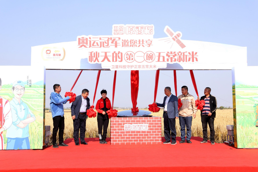 金龍魚五常基地原香稻呈上年度溯源成果，正宗五常好新米上市獲冠軍肯定