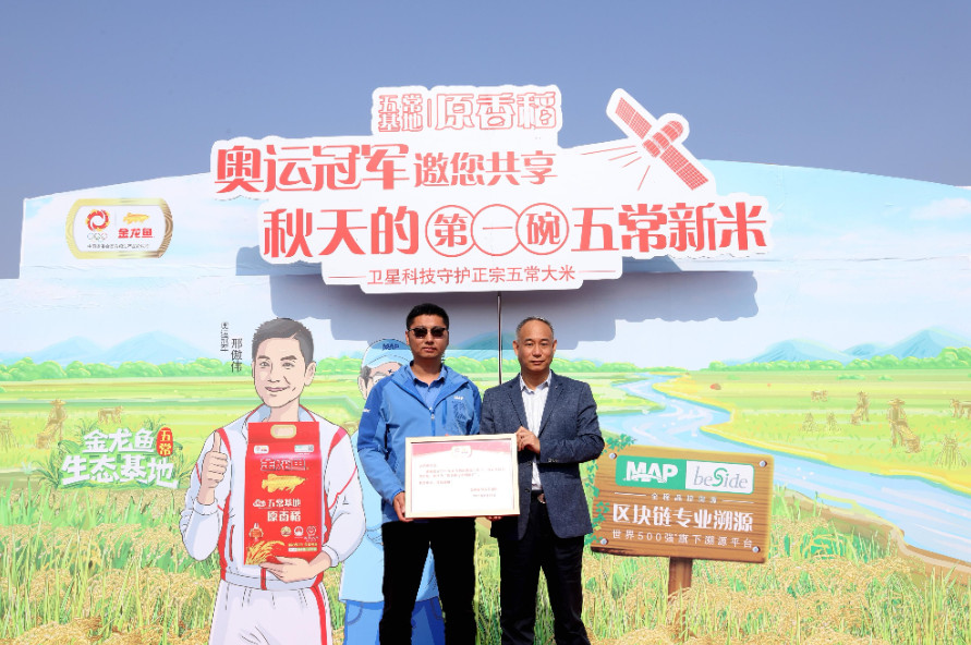 金龍魚五常基地原香稻呈上年度溯源成果，正宗五常好新米上市獲冠軍肯定