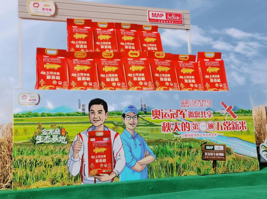 金龍魚五常基地原香稻呈上年度溯源成果，正宗五常好新米上市獲冠軍肯定